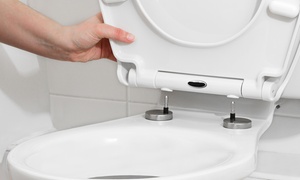 White Soft-Close Quick Release Toilet Seat