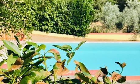 Lastra a Signa, Firenze: camera in mezza pensione con attività in agriturismo opzionale alla Fattoria Albanese Labardi