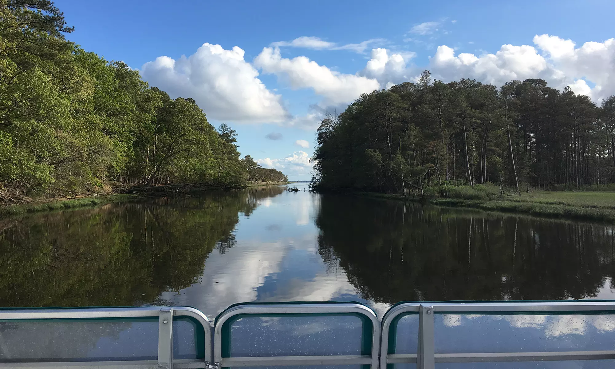 Two-Hour Family Sightseeing Cruise for Two, Three, or Four from The Sand Dollar (Up to 29% Off) - Second Medium