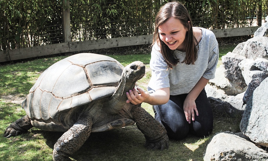 Image 4: Zoo keeper Shadowing Experience  