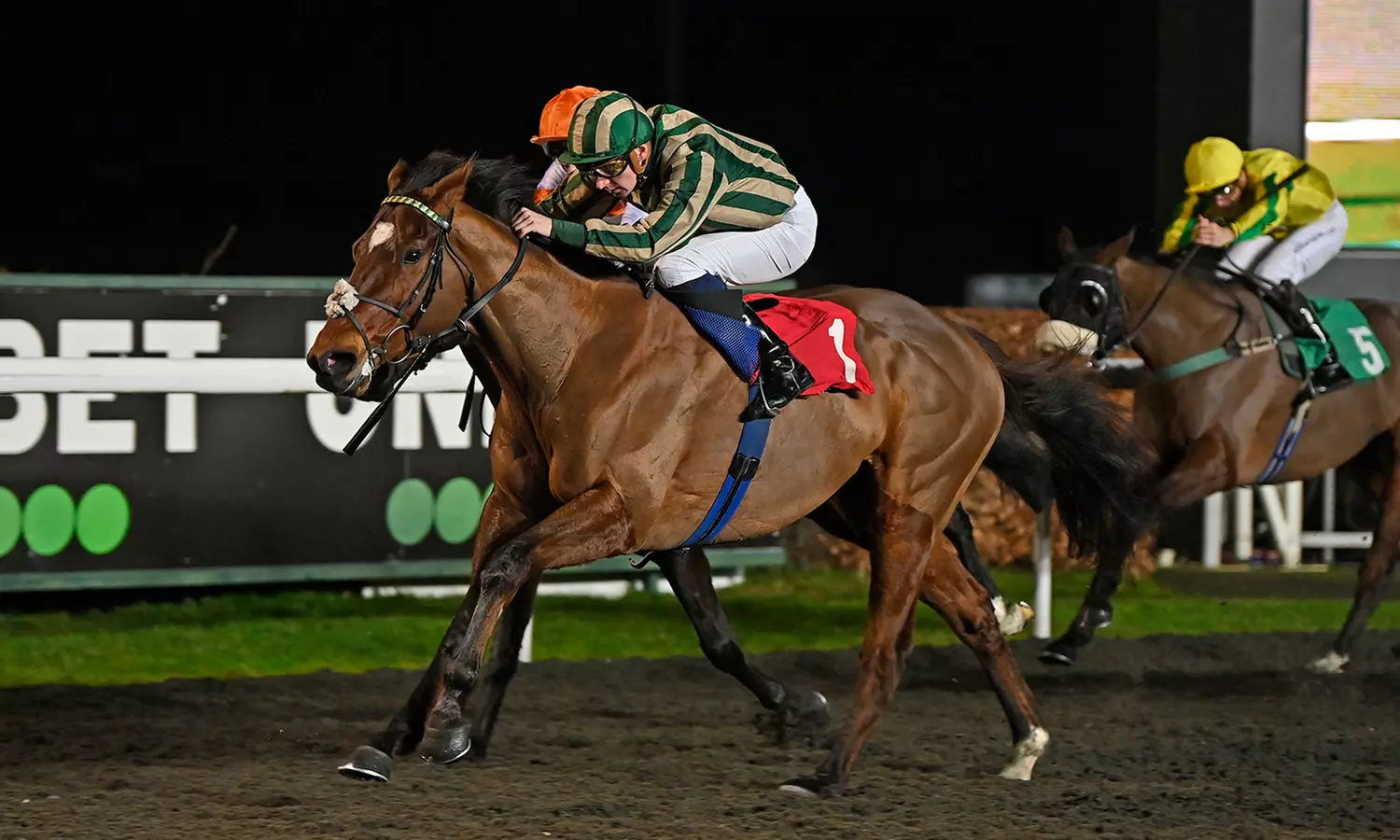 12-Month Shared Racehorse Ownership with Stable Visit for Two or Four from Crowd Racing (Up to 59% Off) - Primary Image