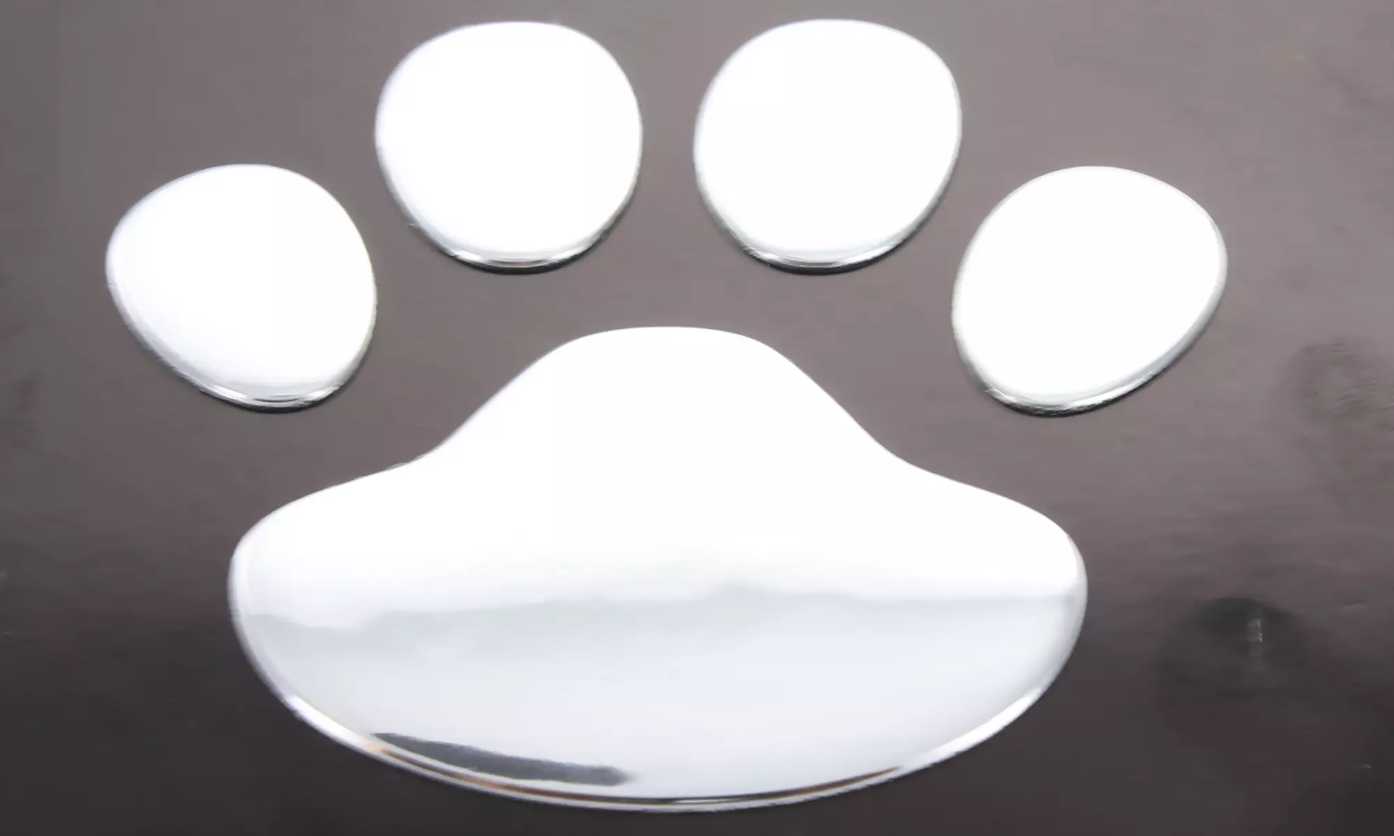 Paw Print Decal (2-Pack) - Second Medium