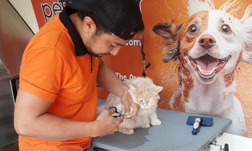 Image 13: Basic or Full Grooming at Pet Corner