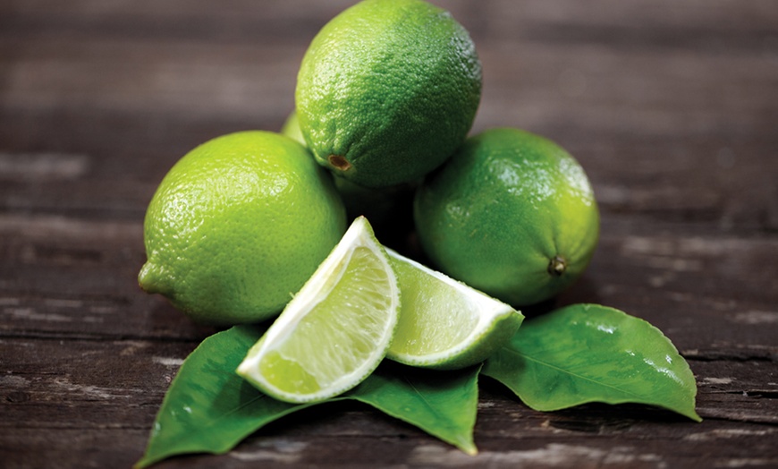 Image 4: Citrus Trees Collection Lemon, Lime or Orange -1, 2 or 3 Potted Plants