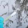 Image 1: Apex Mold Inspection: Home Air Quality Test & Visual Inspection