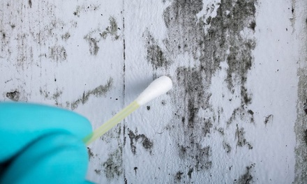 Home Air Quality test with 3 sample locations and visual inspection - Apex mold inspection