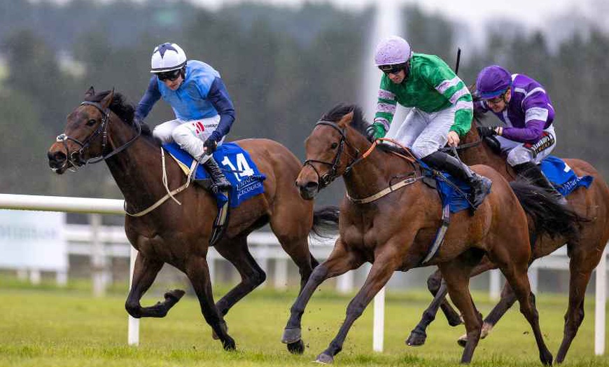 Image 5: One Ticket to Munster National From Oct 18 & Oct 19,2025