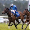 Image 1: Up to 47%% Off at Limerick Racecourse This weekend