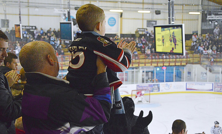 Image 4: Phoenix Ice Hockey Match