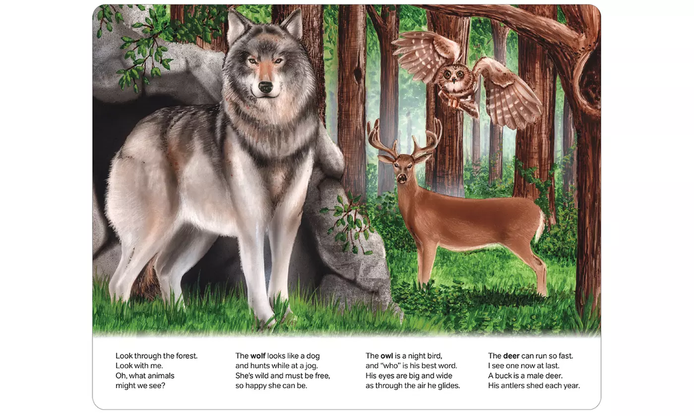 Rock 'N Learn Preschool Board Book and Video Set #2 - Second Medium
