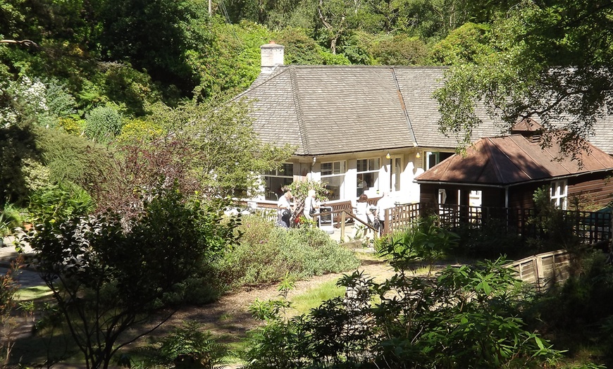 Image 4: Cream Tea in a Garden for Two