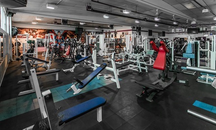 Seven or 30 Day Gym Pass - Panthers Gym | Groupon