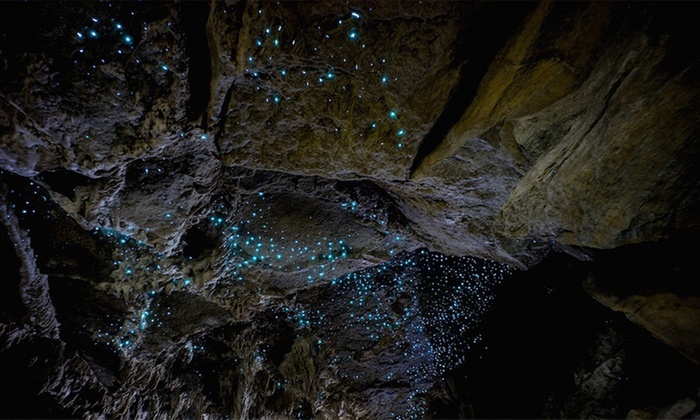 Glow Worm Cave Tour - Glowing Adventures | Groupon