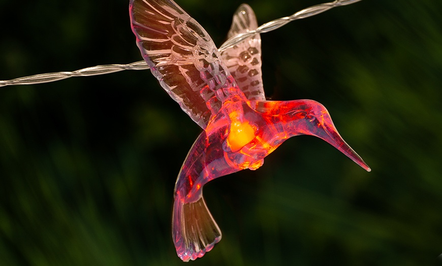 Image 14: Globrite Bird Solar String Lights