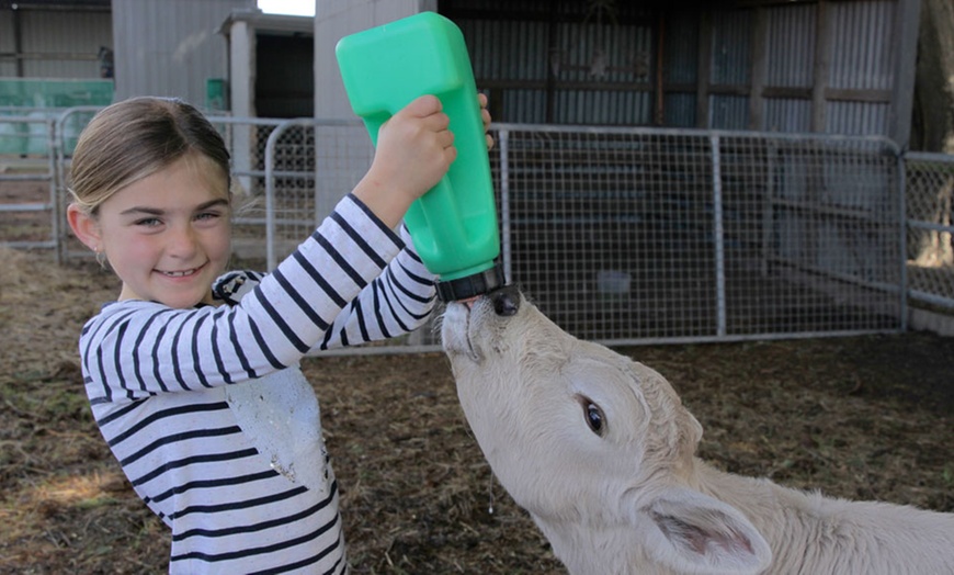 Image 8: Adventure Farm Entry: Child ($8), Adult ($11)