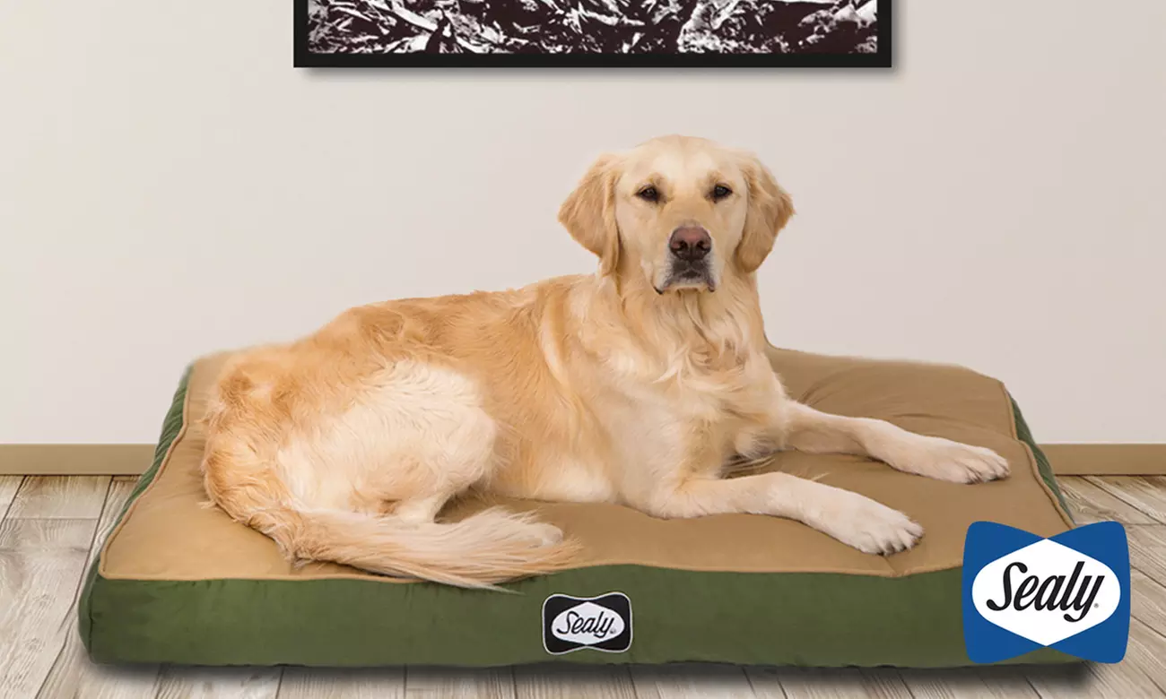 Orthopedic and Cooling Pet Bed | Groupon Goods