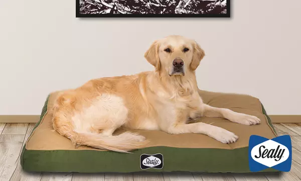 Sealy Dog Bed Cushy Cuddler hotsell