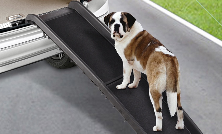 Image 2: Folding Portable Dog Ramp