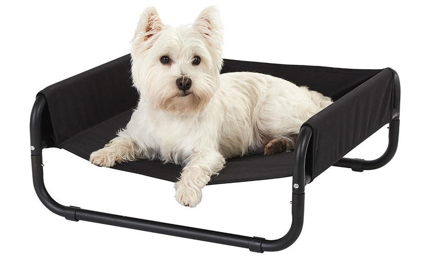 Image 3: Bunty Elevated Sided Dog Bed