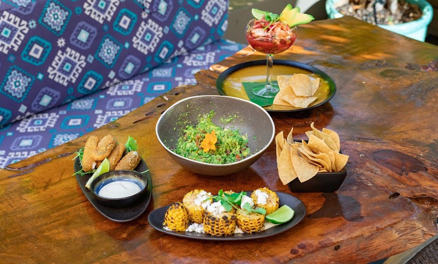 Image 8: Two-Course Mexican Lunch at Frida Kahlo’s Summer House