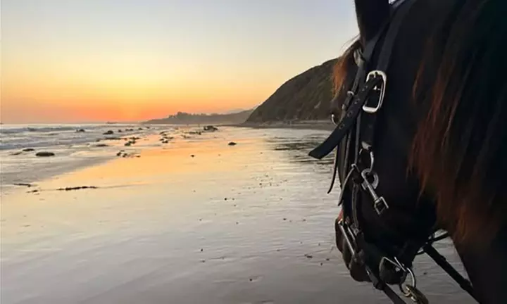 Horseback Riding Drop-In Class / Week-Long Summer Camp w/Riding Lesson