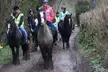 Horse Riding Adventure: 1 or 2-Hour Trekking Lessons for Individuals or Groups – Ideal for All Levels (38% Off) - Second Medium