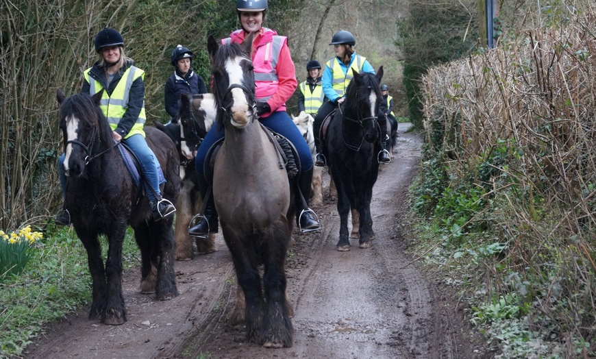 Image 4: Horse Riding and Trekking Lesson at SevernwyeEquestrian