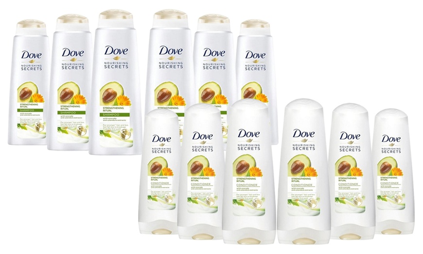 Image 9: Dove Shampoos and Conditioners