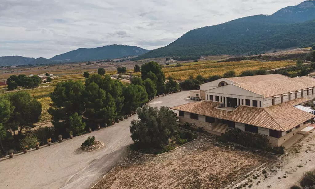 Ruta en bicicleta entre viñedos por la zona de Jumilla para 2 o 4