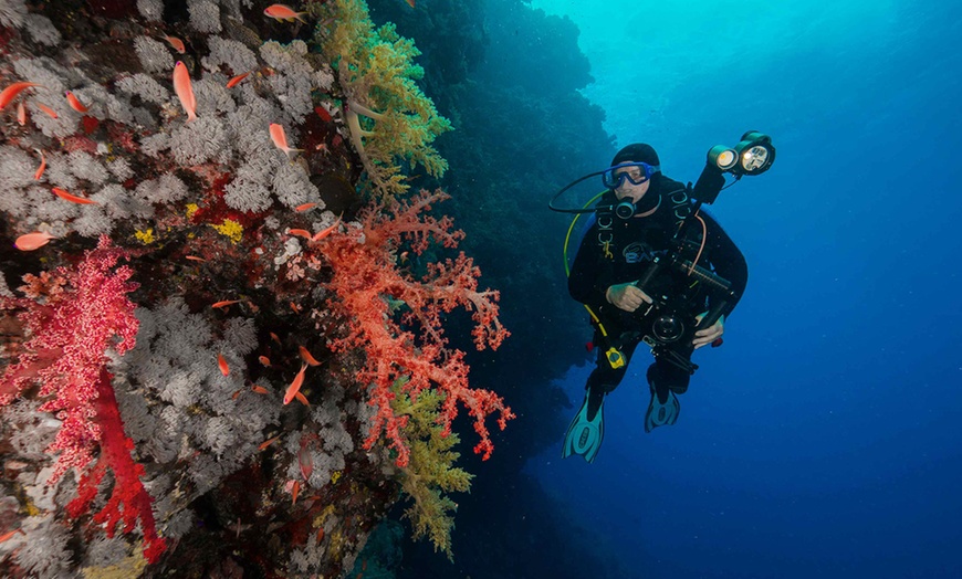 Image 1: Entdecke die Unterwasserwelt: Open-Water-Diver- oder Nitrox-Kurs