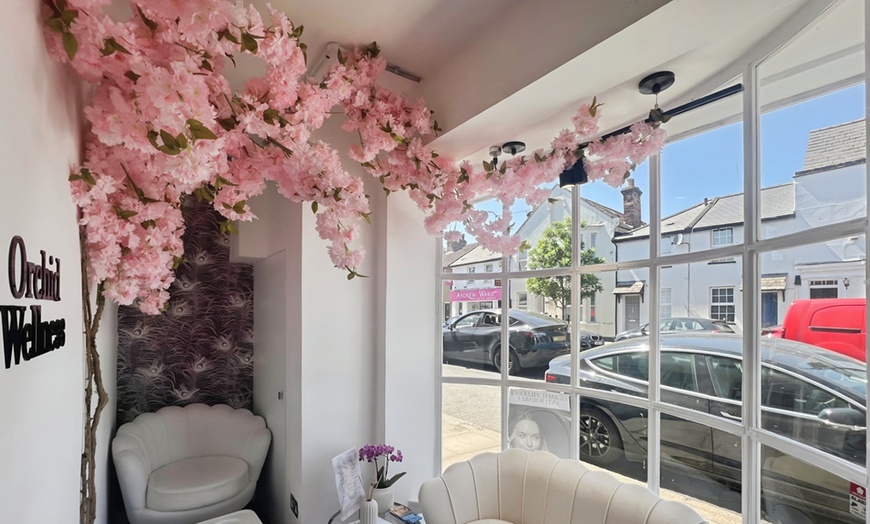 Image 3: One Session of HydraFacial + Optional Radiofrequency Skin Tightening