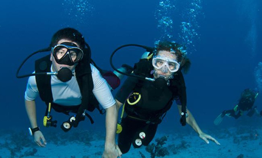 Image 3: Bautismo de buceo para 1 o 2 personas con Buceo Pandora