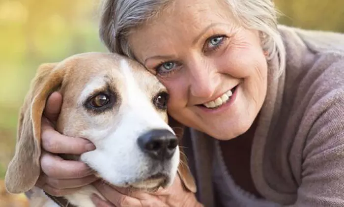 One Month of Free Pet Multi-Vitamin Soft Chews on Every Shipment with Quarterly Subscription from PetJoy ($29.99 Value) - Second Medium