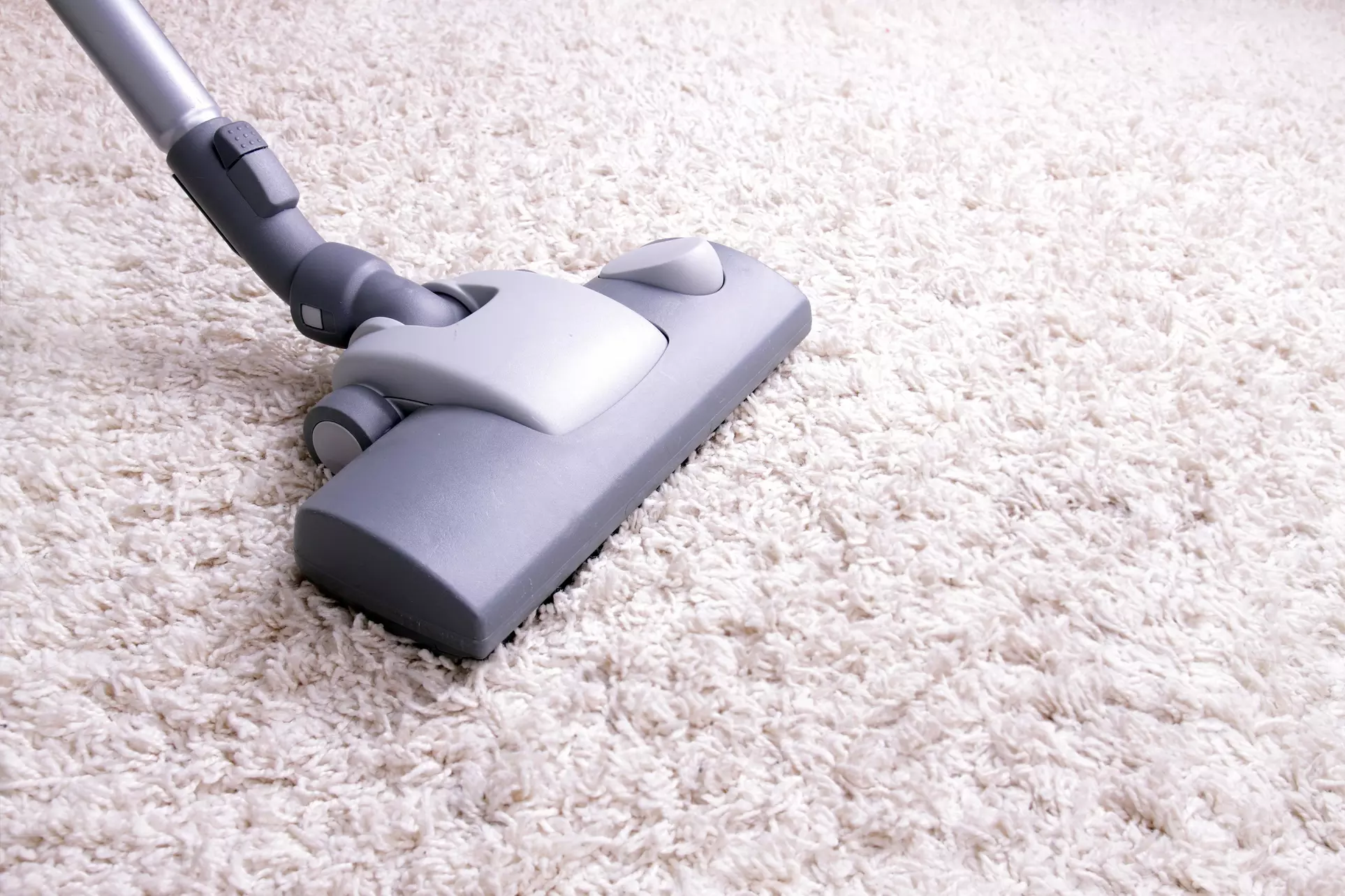 $259 for $479 Worth of Rug and Carpet Cleaning — Supreme Clean Carpet Care - Primary Image