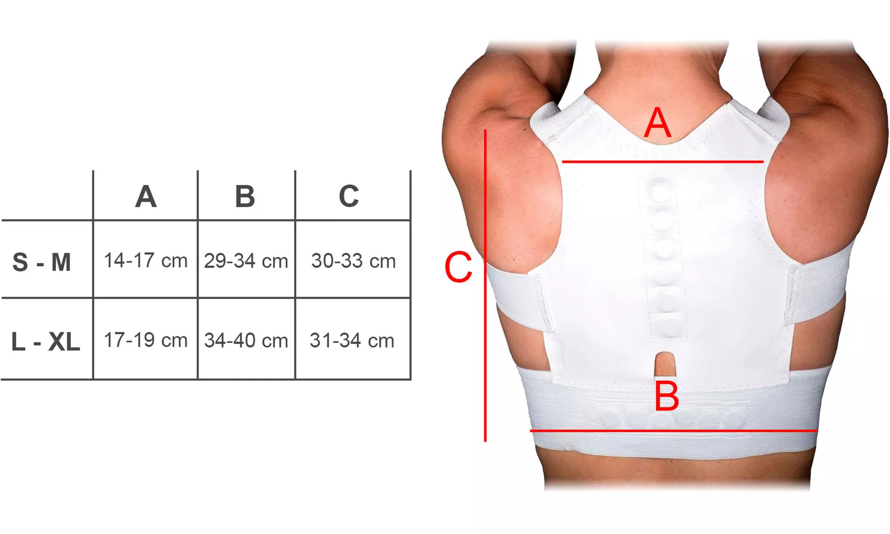 1 ou 2 correcteurs de posture avec 12 aimants - Image 6