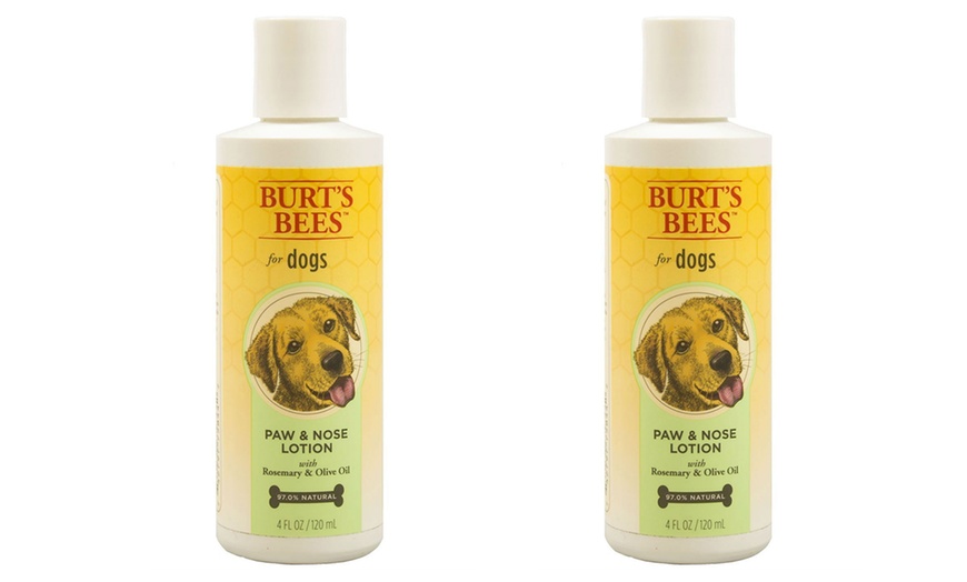 burt's bees paw and nose lotion