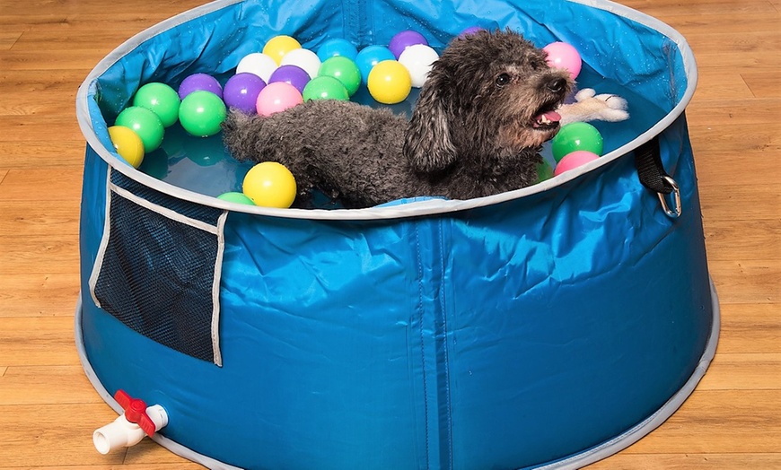 Image 1: Pop Up Pet Dog Bath and Pool 