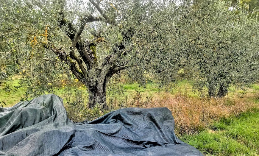 Image 20: Umbria: soggiorno, colazione e piscina fino a 5 persone