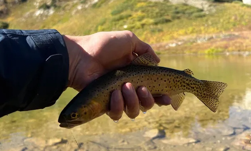 Image 4: Up to 28% Off on Fishing at Bloom Fly Fishing