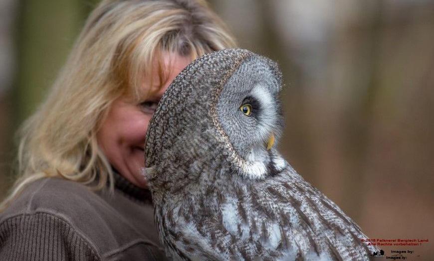 Image 11: Waldtour mit Greifvogel oder Eule