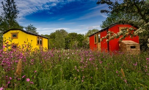 Lancashire: Shepherd's Hut for Four