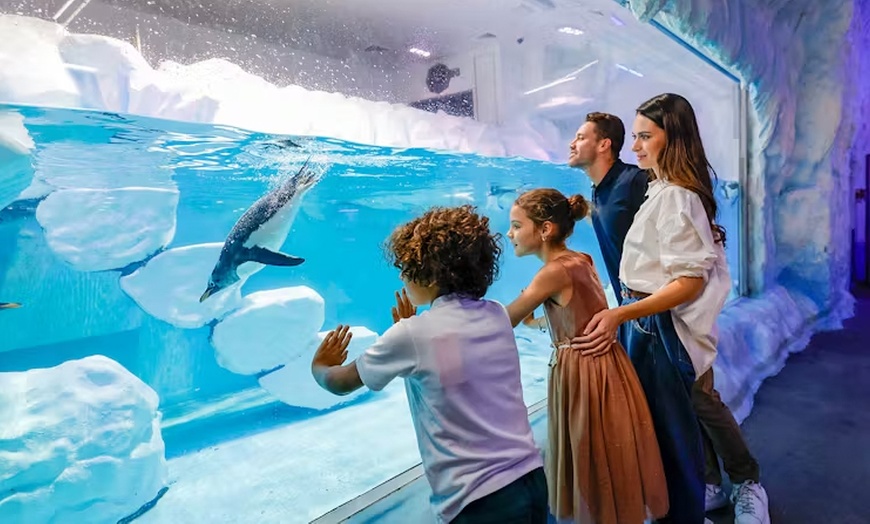 Image 1: Explore Dubai Aquarium with Frame, Glow Garden, Aya Universe & More!