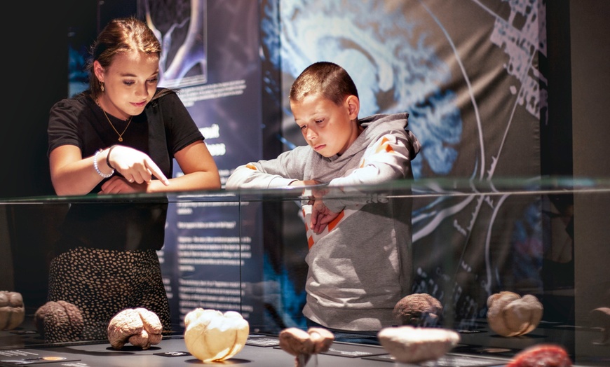 Image 9: Billet pour BODY WORLDS Amsterdam
