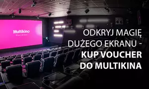 Bilety na dowolny film 2D/3D w kinach sieci Multikino