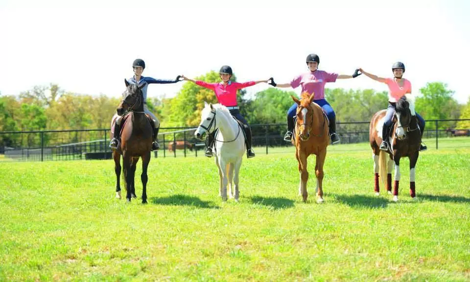 Two Horseback-Riding Lessons at The Paddocks Stables (48% Off) - Primary Image