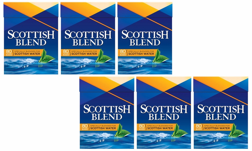 Image 1: Scottish Blend Tea Multipack