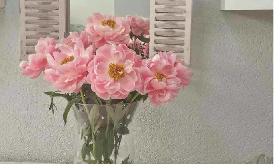 Permanent Make-up für Lidstrich oder Lippen inkl. Nachbehandlung