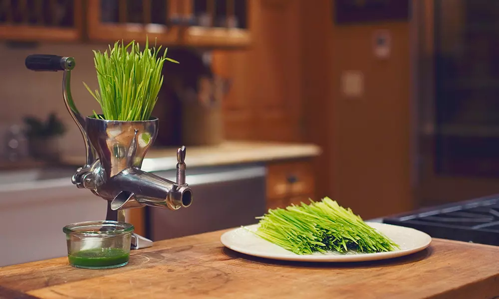Weston Stainless Steel Wheatgrass Juicer  - Primary Image