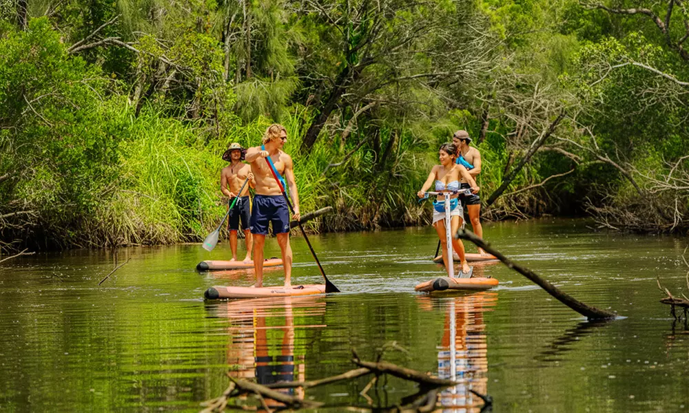 Ticket to Narrabeen Sup Creek Tour for Up to 11 People