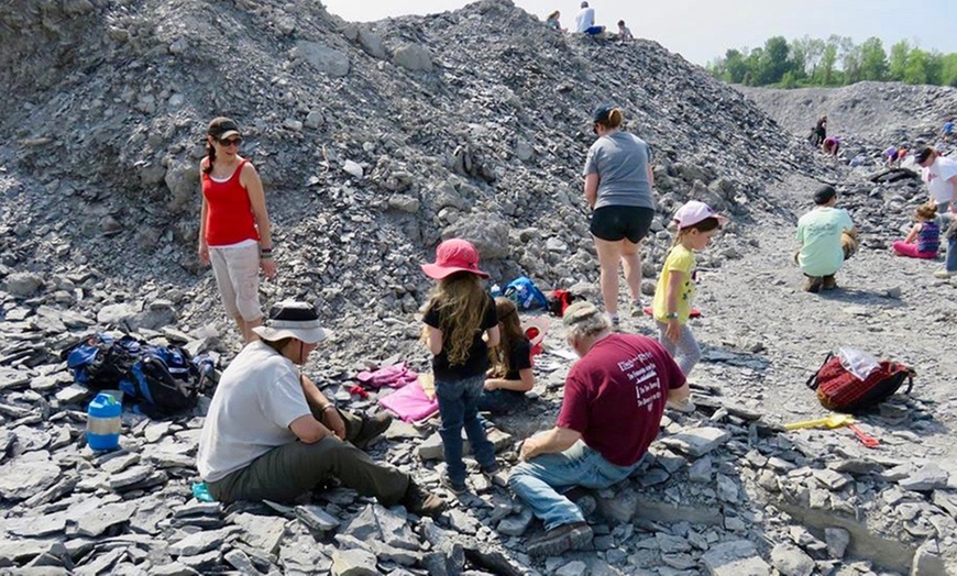 Fossil Quarry Admission - Penn Dixie Fossil Park and Nature Reserve |  Groupon